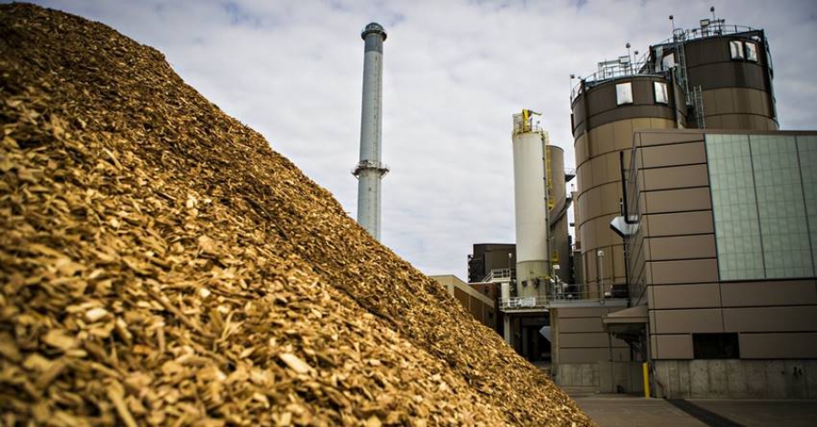 Στα ύψη οι τιμές του φοινικέλαιου – Μεγαλώνει η ζήτηση για την παραγωγή  βιοντίζελ (Reuters)