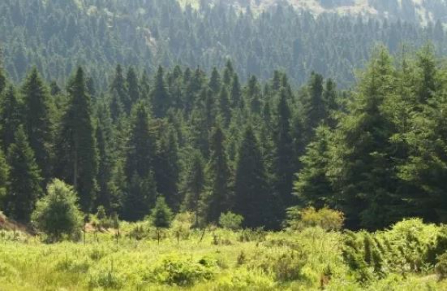 Σε διαβούλευση τρείς ακόμα ΕΠΜ για τις περιοχές «Νatura 2000» σε Θεσσαλία και Ανατολική Μακεδονία – Θράκη