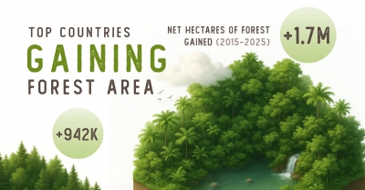 Ποιες χώρες απέκτησαν τα περισσότερα δάση από το 2015 ως το 2025; (Visual Capitalist)