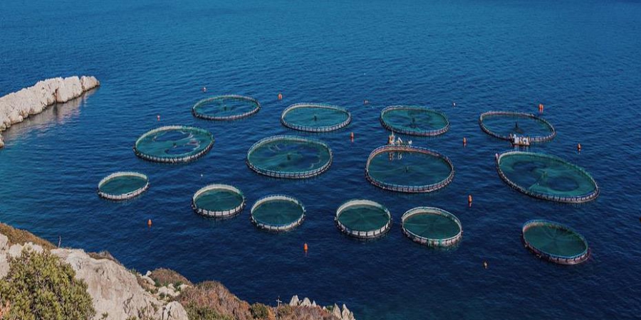 ΕΣΠΑ: Νέα δράση €71 εκατ. για επενδύσεις στην υδατοκαλλιέργεια