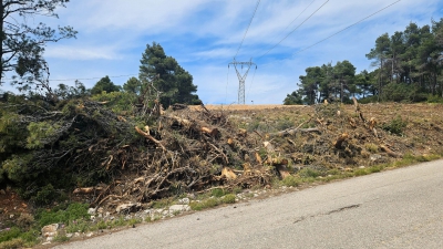 ΠΟΜΙΔΑ: Πρόταση για νομοθετική διευκόλυνση της ανοικοδόμησης συνιδιόκτητων οικοπέδων
