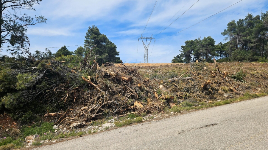 ΠΟΜΙΔΑ: Πρόταση για νομοθετική διευκόλυνση της ανοικοδόμησης συνιδιόκτητων οικοπέδων