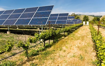 ΠΟΣΠΗΕΦ: Μέχρι και 49,65% οι απώλειες εσόδων των μικρομεσαίων Φ/Β παραγωγών