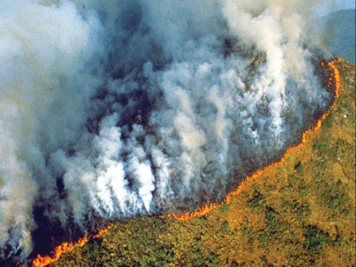 Οι καταστροφικές πυρκαγιές απελευθέρωσαν δισεκατομμύρια τόνους CO2 το 2019