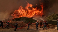 hello