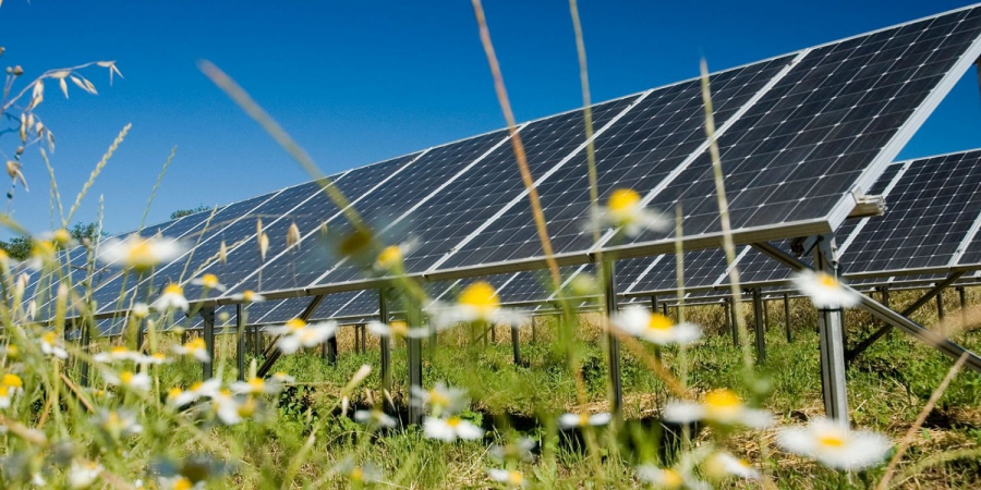 Η ηλιακή ενέργεια αντιπροσώπευε το 84% της νέας δυναμικότητας που προστέθηκε στις ΗΠΑ το 2024 (Reuters)