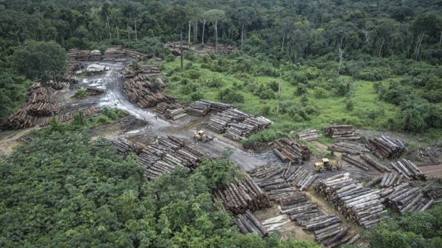 Τα τροπικά δάση μπορεί να απελευθερώνουν άνθρακα, σύμφωνα με μελέτη του περιοδικού Science