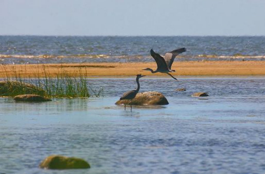 Παράταση έως 30 Απριλίου στη διαβούλευση για τις Ειδικές Περιβαλλοντικές μελέτες σε περιοχές Natura 2000