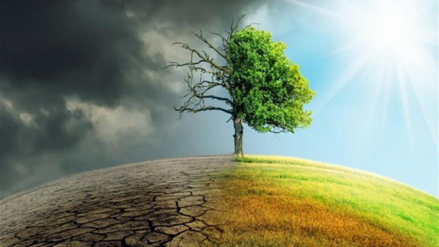 ΙΟΒΕ: Ποιες οι επιδράσεις της κλιματικής αλλαγής σε επιλεγμένους τομείς υψηλής σημασίας για την Ελληνική οικονομία