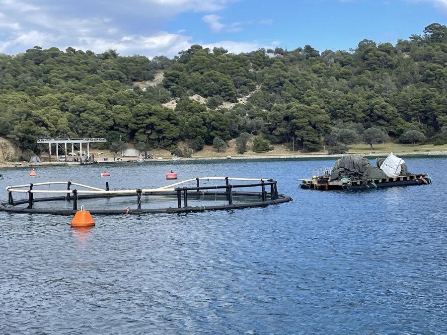 Kαμπανάκι κινδύνου κρούει η Ακταία για τις υδατοκαλλιέργειες