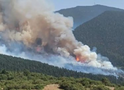 Μεγάλη πυρκαγιά στον Φενεό Κορινθίας - Εντολή εκκένωσης σε Καστανιά και Λαύκα