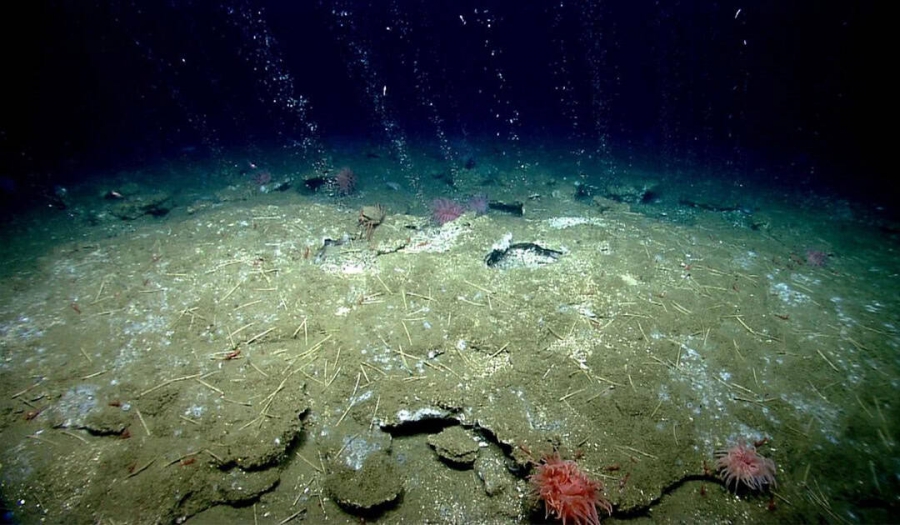 Ερευνητές ανακάλυψαν διαρροή μεθανίου από ρωγμές στον βυθό της Ανταρκτικής (abcnews.go.com)