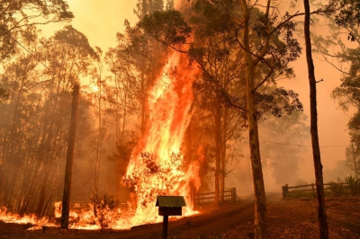 Σήμα κινδύνου από τους επιστήμονες για τις πυρκαγιές στην Αυστραλία