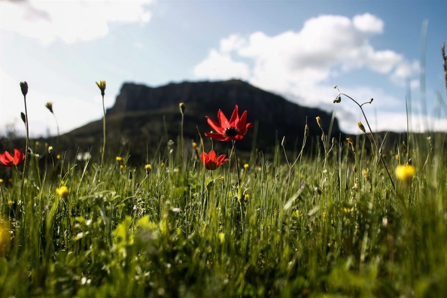 Άνοδος της θερμοκρασίας - Ο καιρός το Πάσχα