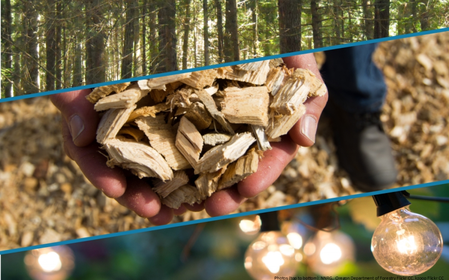 Ποιο είναι το μέλλον της Ξυλώδους Βιομάζας στο ενεργειακό μείγμα της ΕΕ