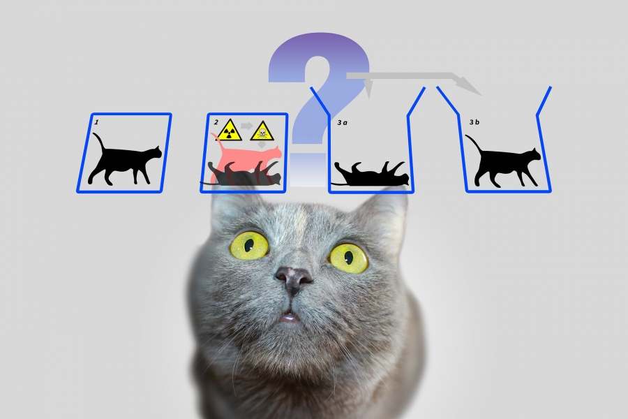 Η γάτα του Schrödinger απέκτησε μια ολόκληρη γενιά από παράξενα αδέρφια σε μια σημαντική κβαντική ανακάλυψη (popularmechanics.com)