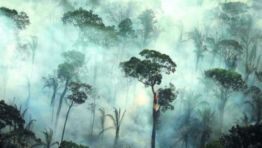 Βραζιλία: Οι χειρότερες πυρκαγιές σε 18 χρόνια για μήνα Μάιο στην Αμαζονία
