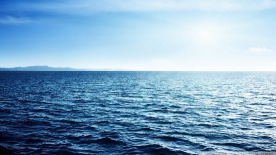 Έρευνα NREL: Αφαίρεση άνθρακα μέσω θαλάσσιας ενέργειας - Ο ρόλος των φυκιών