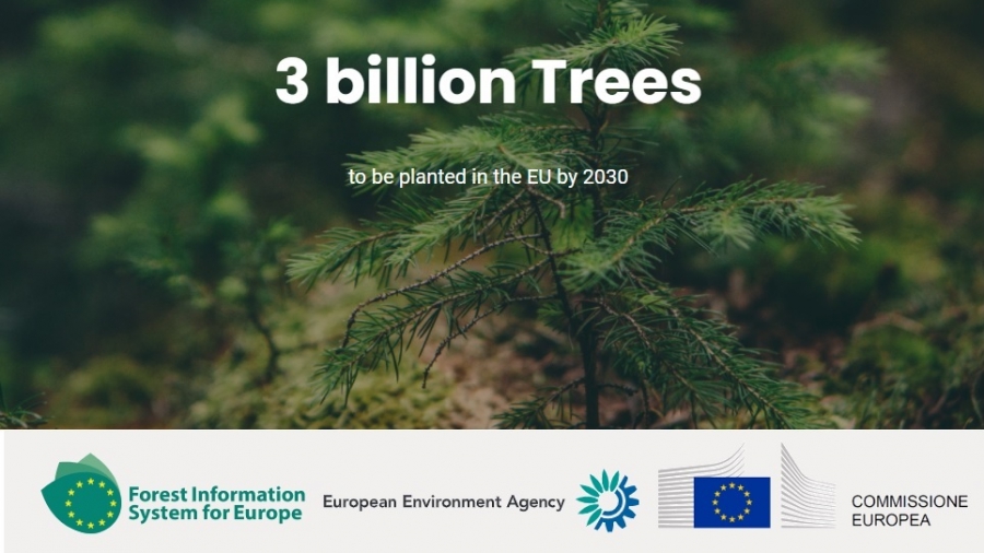 Κομισιόν, «MapMyTree» υπέρ της βιοποικιλότητας, για τη φύτευση επιπλέον 3 δισ. δέντρων ως το 2030