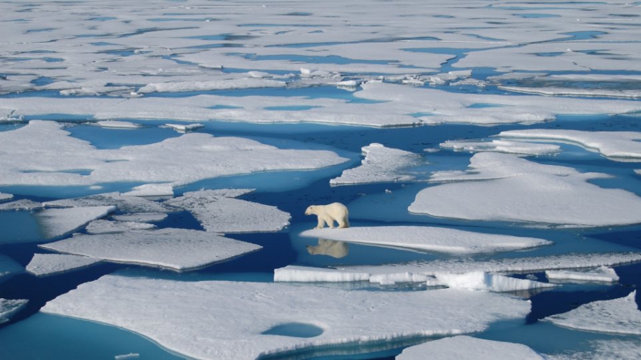 Αυξάνεται το λιώσιμο των πάγων στην Ανταρκτική - Τα «καμπανάκια» των επιστημόνων