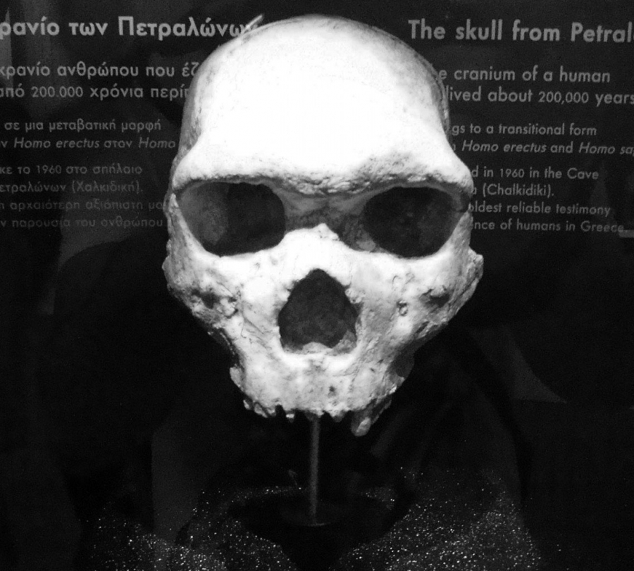 Το Κρανίο των Πετραλώνων αλλάζει όσα γνωρίζαμε ως τώρα για την ανθρώπινη εξέλιξη (jpost.com)