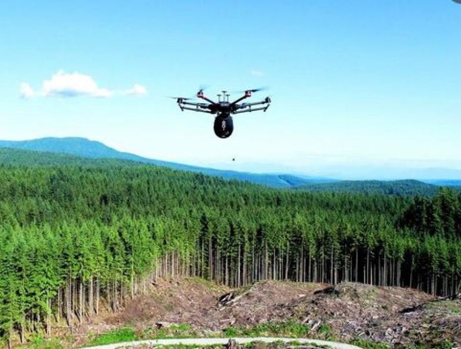 Χρήση νέας τεχνολογίας drone στην υπηρεσία των αναδασώσεων με πρωτοβουλία της Motor Oil Hellas