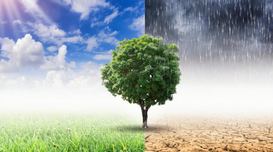 Τι δείχνει για τις χώρες η φιλοδοξία για το κλίμα; (Nature.com)