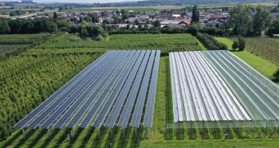 Αγροβολταϊκά σε φυτείες τσαγιού