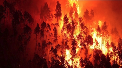 Πορτογαλία: Εκατοντάδες πυροσβέστες στη μάχη με τις φλόγες στο εθνικό πάρκο Κασκάις