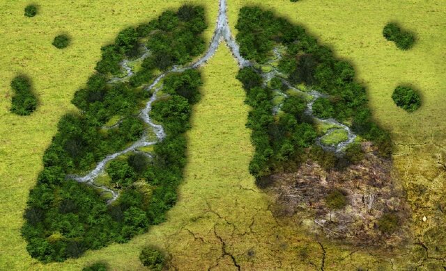 Η ΕΕ μειώνει συνεχώς τις εκπομπές - Προχωρά προς την επίτευξη των κλιματικών στόχων του 2030