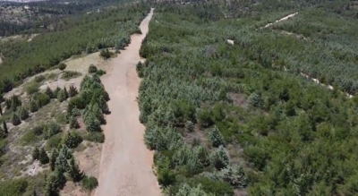 Antinero III: Διαγωνισμός 38 εκατ. ευρώ για την αντιπυρική προστασία των δασών