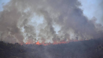 Φωτιά στα Βίλια, ημέρα 5η - Ανυπολόγιστες οι καταστροφές - Προς το όρος Καντήλι Μεγάρων,το μέτωπο - Πυρκαγιά και σε Λαυρεωτική