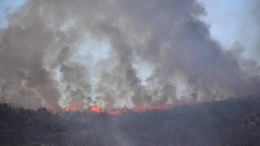 Φωτιά στα Βίλια, ημέρα 5η - Ανυπολόγιστες οι καταστροφές - Προς το όρος Καντήλι Μεγάρων,το μέτωπο - Πυρκαγιά και σε Λαυρεωτική