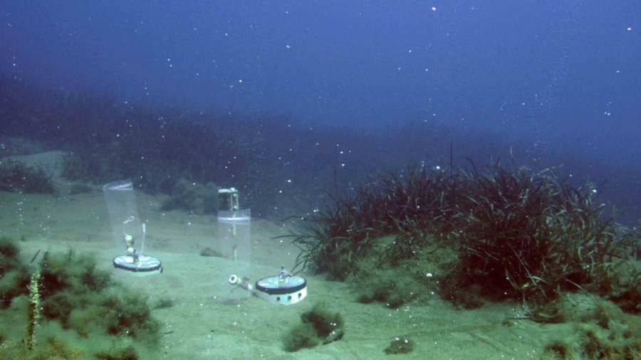 PVEurope: Οι απαιτήσεις και οι κίνδυνοι για την αποθήκευση CO2 στη Βόρεια Θάλασσα