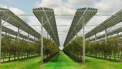 Μελέτη: Ενεργειακή μετάβαση μέσω αγροφωτοβολταϊκών - Οικονομικά αποδοτική και βιώσιμη λύση