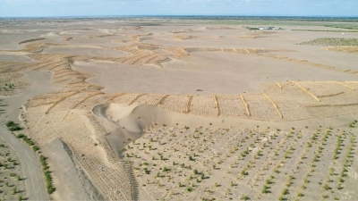 Μεγάλο Πράσινο Τείχος: Βακτήρια θα βοηθήσουν στην ανάκτηση 6.667 εκταρίων ερήμου (Interesting Engineering)
