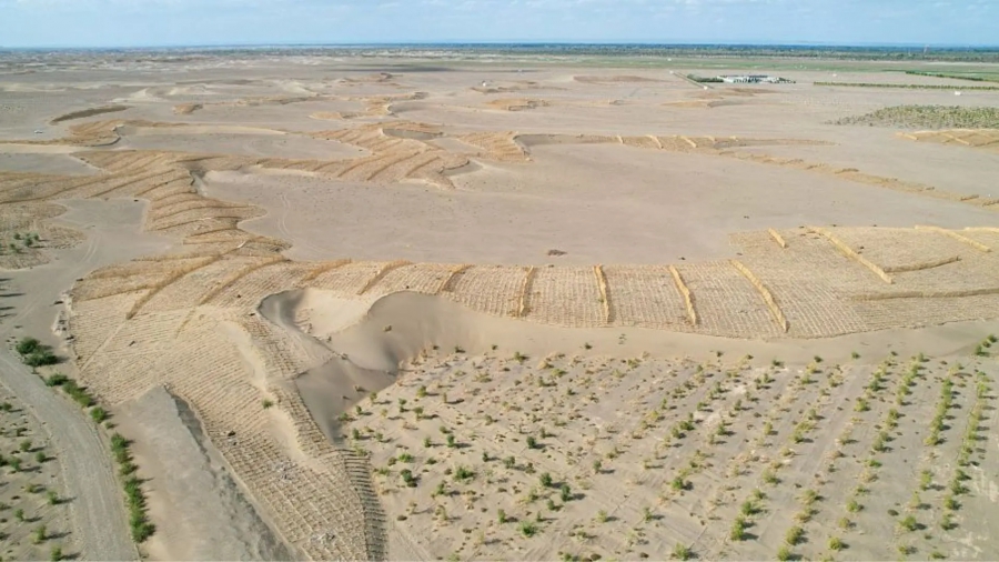 Μεγάλο Πράσινο Τείχος: Βακτήρια θα βοηθήσουν στην ανάκτηση 6.667 εκταρίων ερήμου (Interesting Engineering)