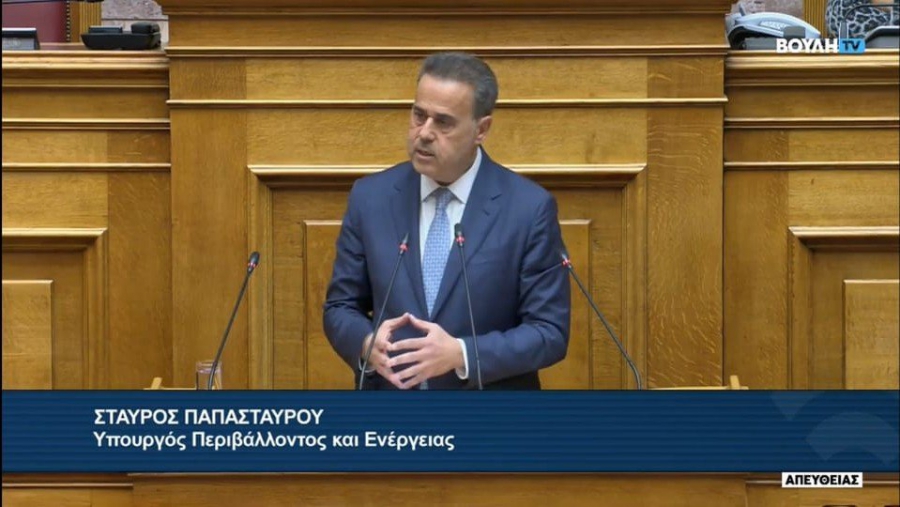 Παπασταύρου: Σημαντικά περιβαλλοντικά οφέλη και διατήρηση της ανταγωνιστικότητας της βιομηχανίας μέσω του CCS