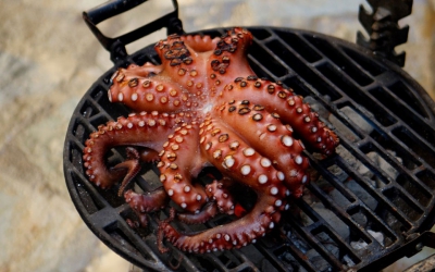 Η υπεραλίευση χταποδιών απειλεί τις ελληνικές θάλασσες (Reuters)