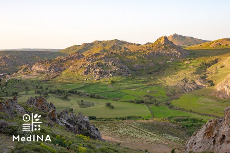 20 χρόνια MedINA: 20 χρόνια προσφορά στη φύση και τον πολιτισμό