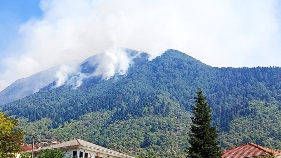 Κόνιτσα: Υπό έλεγχο η πυρκαγιά στην Τραπεζίτσα μετά από 21 ημέρες – Περίπου 10.000 στρέμματα δάσους κάηκαν Κόνιτσα: Υπό έλεγχο η πυρκαγιά στην Τραπεζίτσα μετά από 21 ημέρες – Περίπου 10.000 στρέμματα δάσους κάηκαν