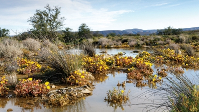 Το μεθάνιο αυξήθηκε μετά το 2020 και η αιτία ήταν απροσδόκητη (sciencedaily.com)