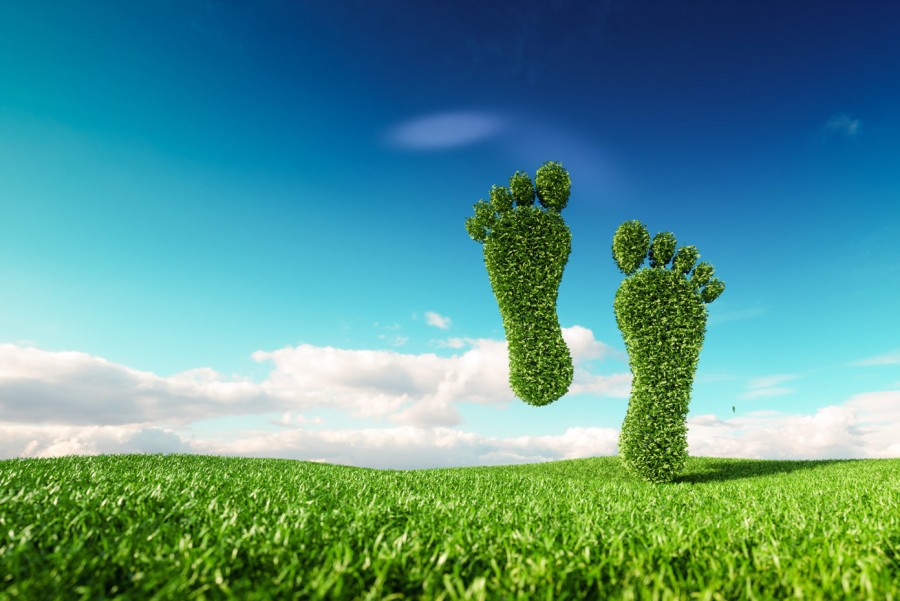 Έντονη ανάγκη για αεροπορικά ταξίδια με μειωμένο περιβαλλοντικό αποτύπωμα