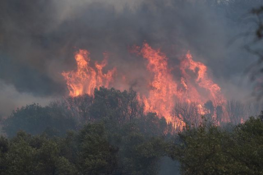 Σοβαρή η φωτιά στην Αλεξανδρούπολη- Ήχησε το 112