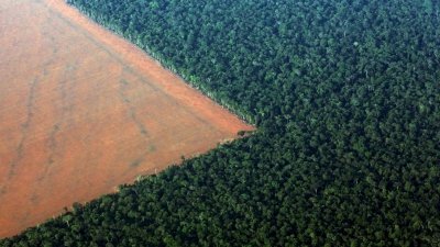Βραζιλία: Η αποψίλωση του Αμαζονίου έφτασε το 2020 στο υψηλότερο επίπεδό της εδώ και 12 χρόνια