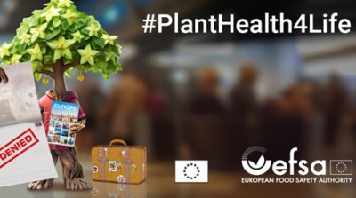 ΥπΑΑΤ, EFSA και Ευρωπαϊκή Επιτροπή: Οι «τρεις σωματοφύλακες» της υγείας των φυτών