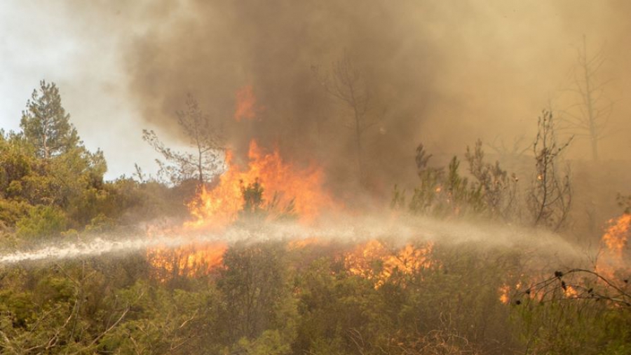 Κύρια αιτία των μεγάλων πυρκαγιών στην Ελλάδα είναι το παραμελημένο δίκτυο ηλεκτροδότησης (Reuters)