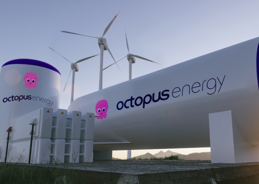 Σύστημα παροχής φθηνής ενέργειας από την Octopus (thecooldown.com)