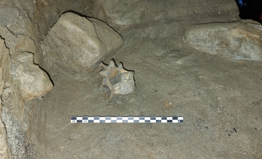 Αποκαλύφθηκε ο χαμένος Αρκτικός Κόσμος: Βρέθηκαν λείψανα ζώου 75.000 ετών (indiandefencereview.com)