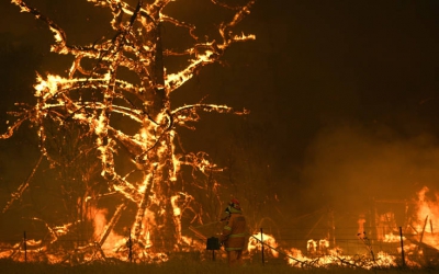 Στάχτη έγινε το 1/5 των δασών στην Αυστραλία από τις πυρκαγιές